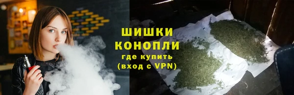 ПСИЛОЦИБИНОВЫЕ ГРИБЫ Абаза