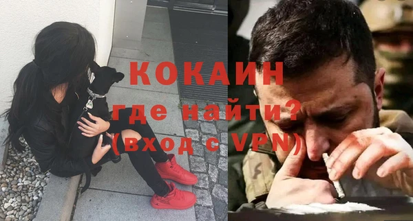ПСИЛОЦИБИНОВЫЕ ГРИБЫ Абаза