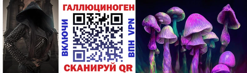 kraken ONION  Шиханы  Галлюциногенные грибы Psilocybe 
